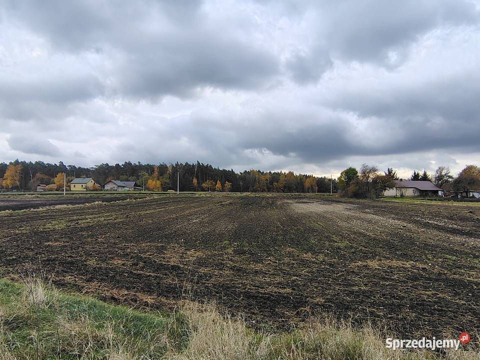 Działka budowlana 3060m2 Kobylniki sprzedam