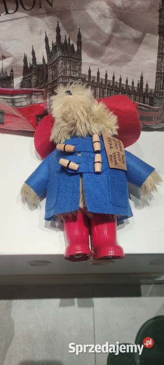 Miś PADDINGTON dolnośląskie Oleśnica