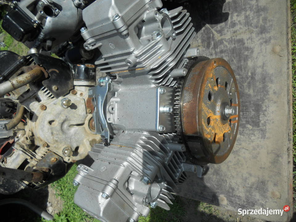 Honda Tecumseh Briggs Stratton Silnik V2 Twin 2 Dębica