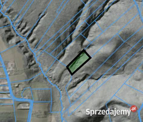 Las Karwodrza połowa