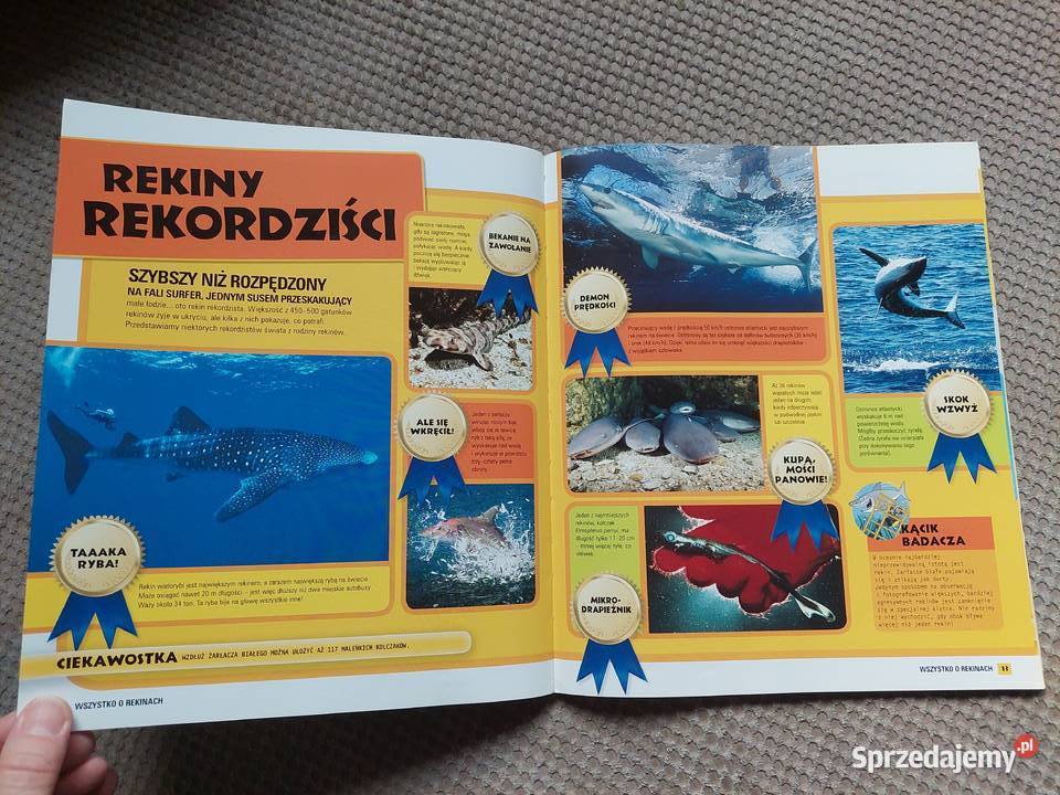 National Geographic Kids Wszystko o rekinach Kraków