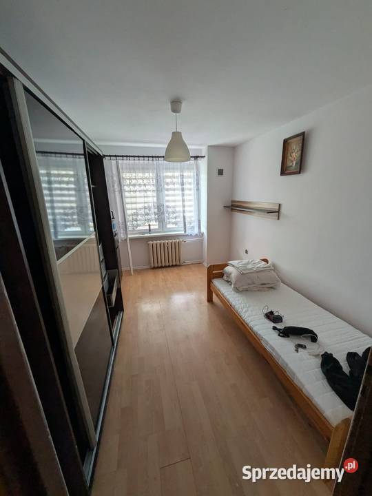 wynajmę ciepłe przestronne mieszkanie zaraz Wynajem Wrocław