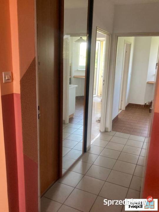 1pok 35met Bacha BALKONKOMÓRKA2000 Wrocław 35m2