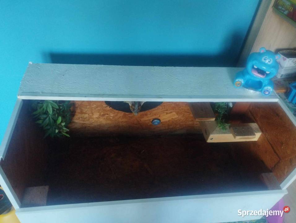 Terrarium plus lampy Szczecin
