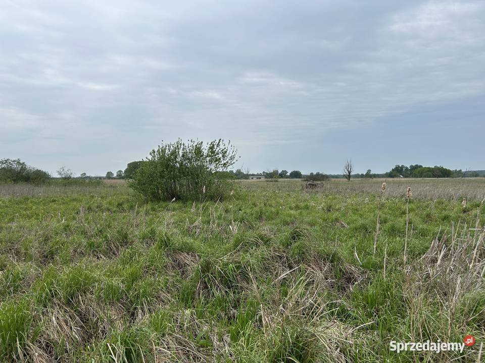 Działka z dostępem do naturalnego stawu 1091 m2 lubelskie Baranów