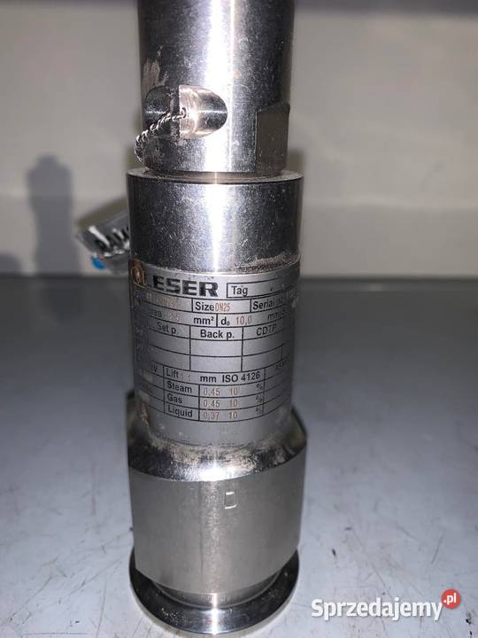 Leser 48147694 Stainless Steel Flow Valve Pozostałe Warszawa