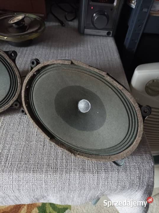 Isophon głośniki szerokopasmowe alnico Płock