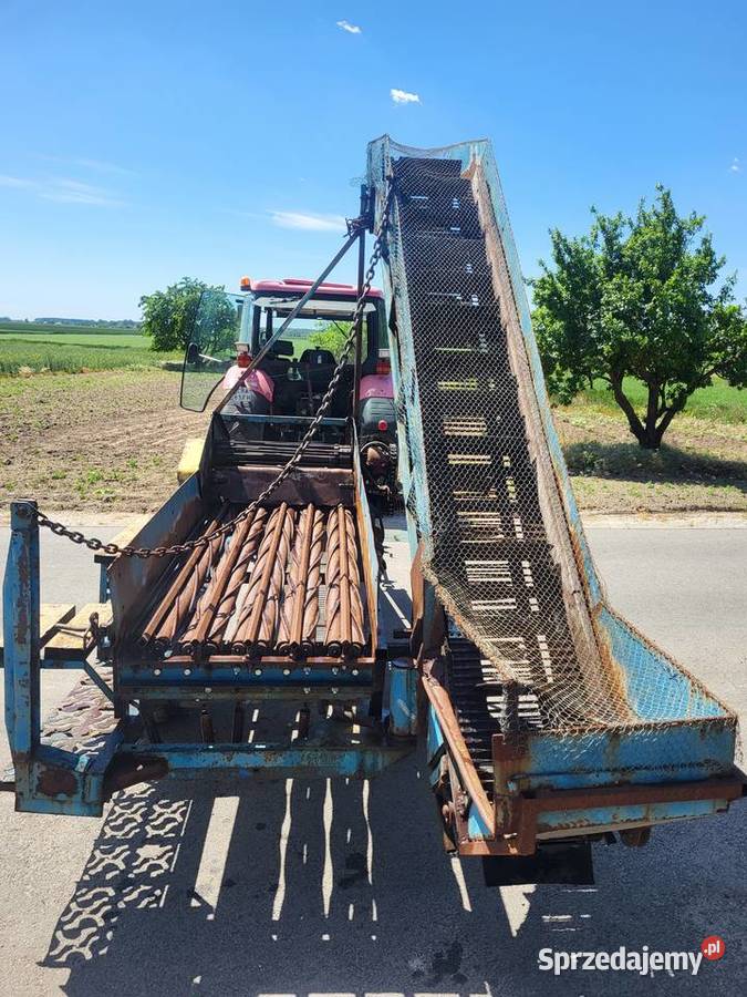 Kombajn zbieracz do cebuli Krukowiak Anna nieuszkodzony Do ziemniaków i warzyw kujawsko-pomorskie Osięciny