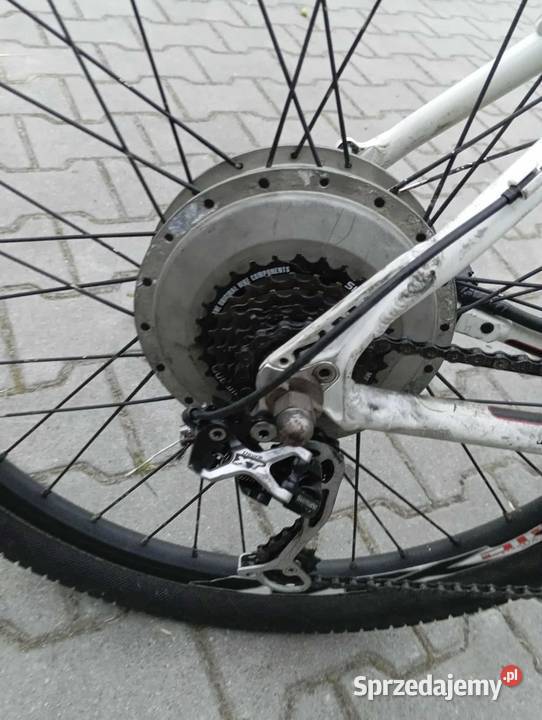 rower elektryczny Straszęcin sprzedam