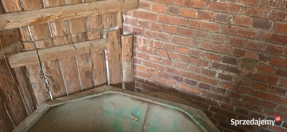 Rozsiewacz Amazone 600L Amazone Siewniki i sadzarki