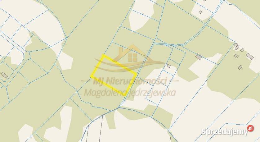 sprzedaży działki 6000m2 Budy Michałowskie kanalizacja