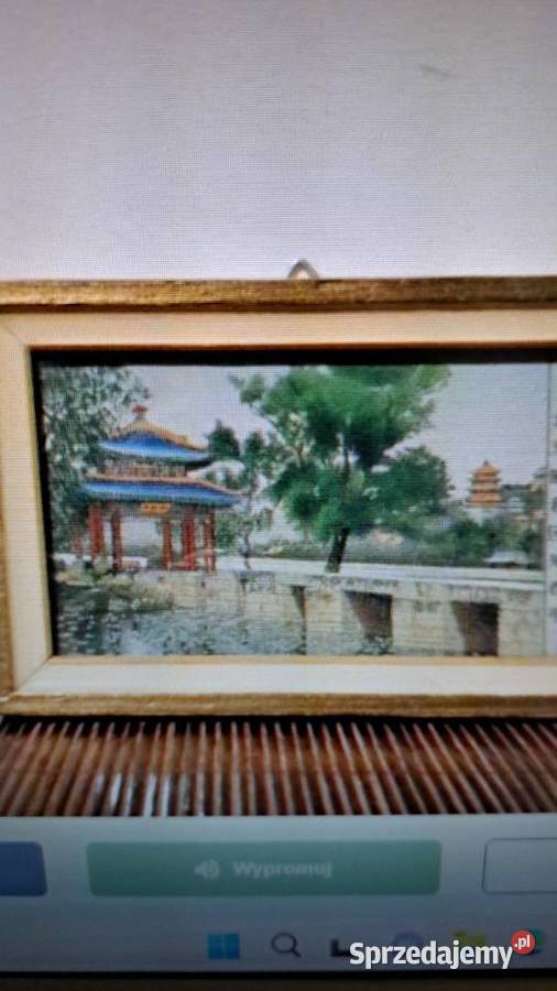 widoczek gablotka diorama w szkle z korka Warszawa