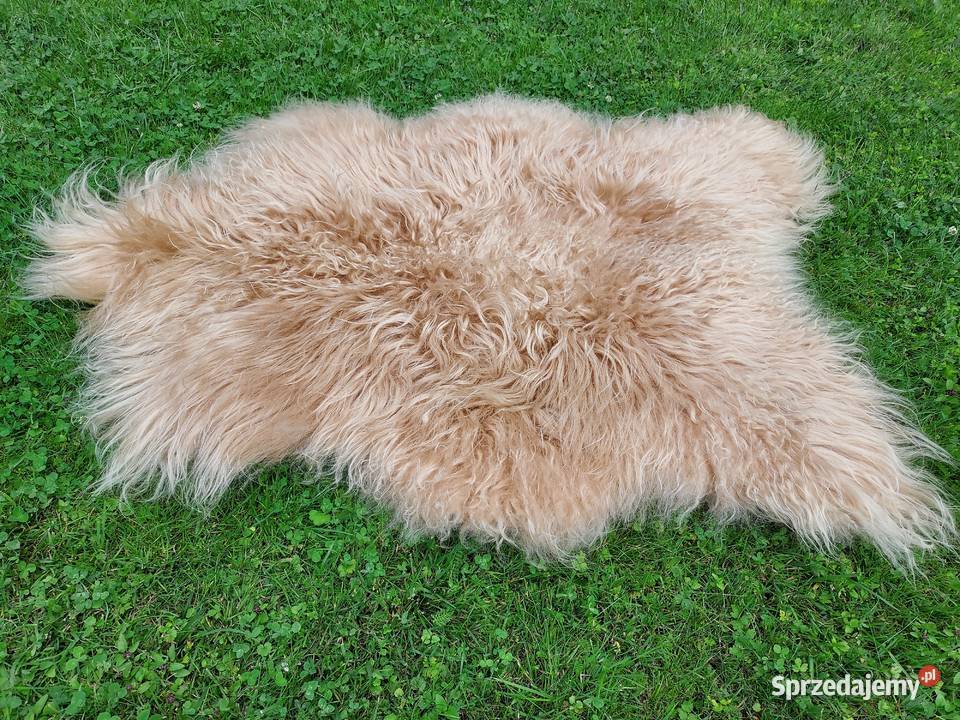Owcza Skóra Naturalna Kremowa Długi Kręocny Włos Szaflary sprzedam