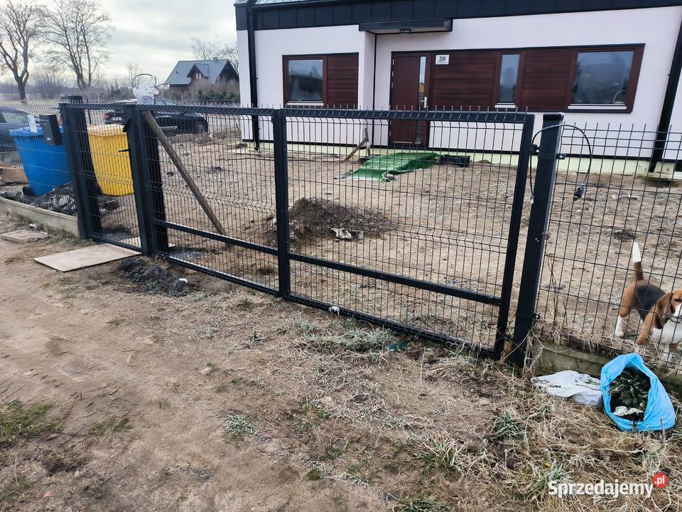 brama 2skrzydłowa szer 34m wys 144m furtka 1m Żelistrzewo