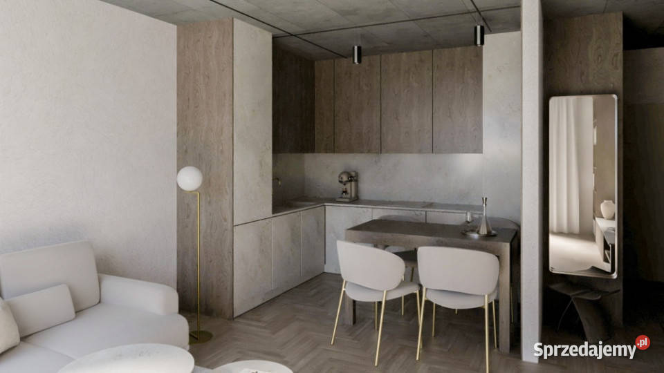 Apartament M62 Tarasy Śląskie 3 maja 41500