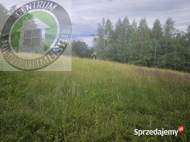 Działka Jamnica 1000m2
