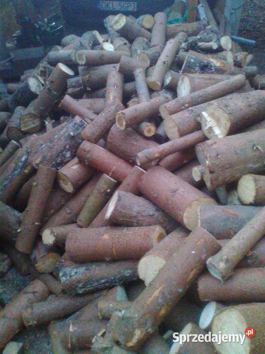 Drzewo drewno opałowe Szczytna
