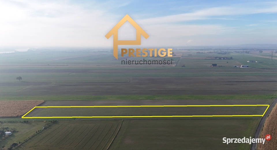 Na sprzedaż działka rolna 10969 Ślesin sprzedam
