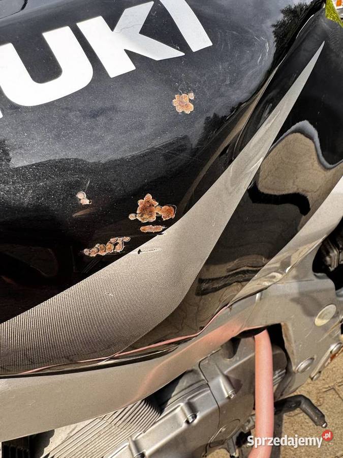 Suzuki Gs 500u Świerzowa Polska sprzedam
