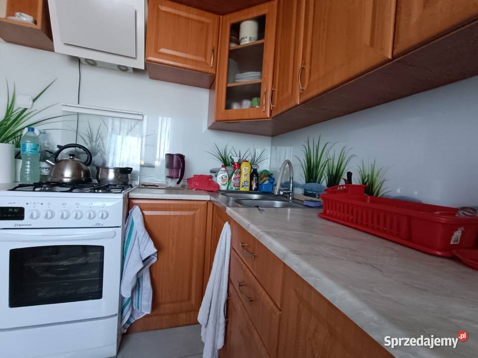 Sprzedam zabudowę kuchni Ostrowiec Świętokrzyski