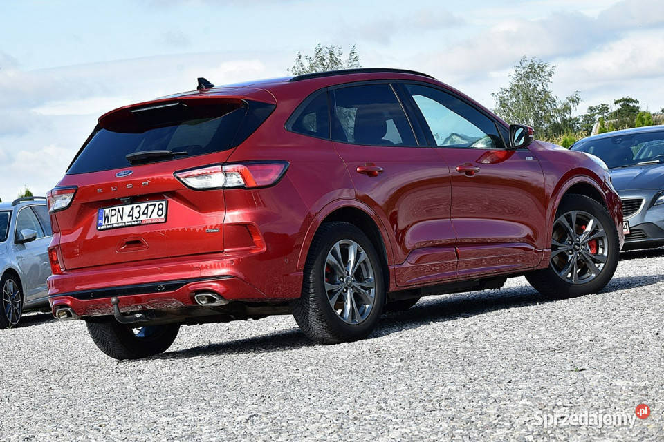 Ford Kuga 25 PHEV STline Ful Led Alcantara Navi światła przeciwmgielne Nowe Kucice sprzedam