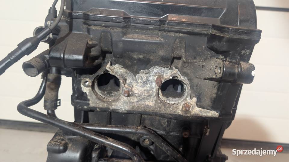 Silnik BMW F650 GS k72 f700 f800 2009 wielkopolskie Turkowice
