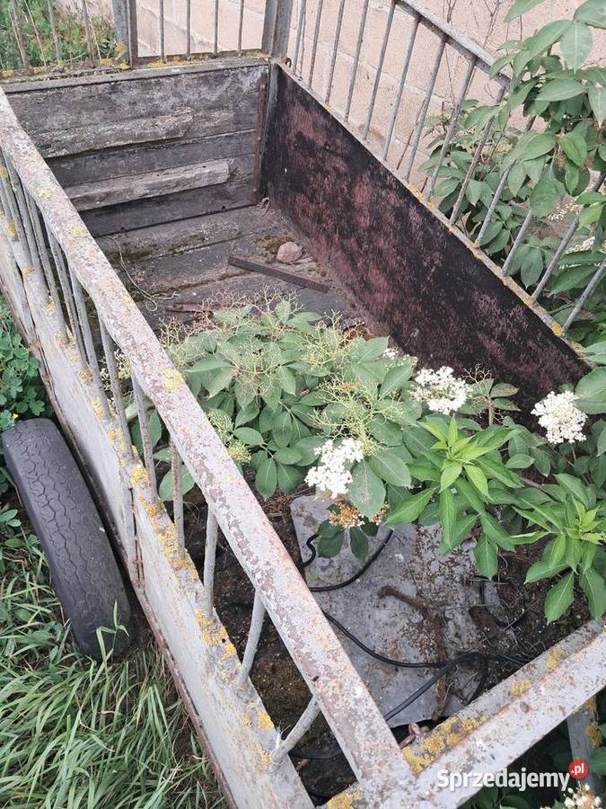 Przyczepa gospodarcza Przedecz sprzedam