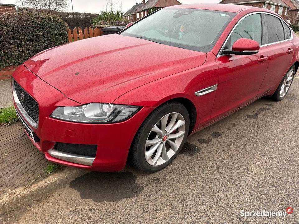 Jaguar XF Prestige 2016 20 Diesel Olsztyn