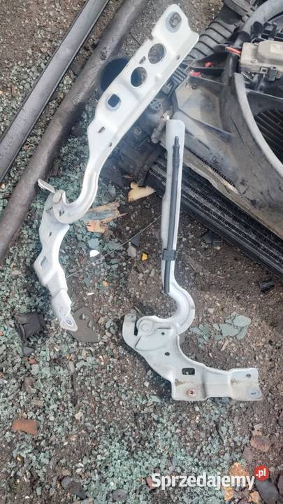 Zawias maski lewy prawy Citroen DS4 Książ Wielkopolski