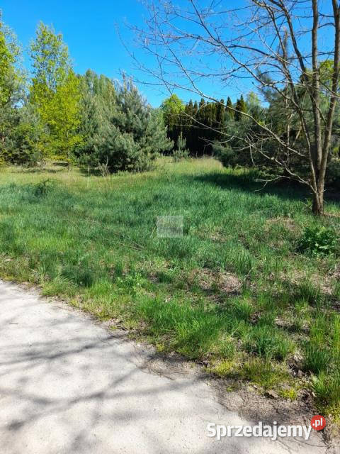 sprzedaży gruntu Czarnów Piaskowa 2200m2 utwardzona mazowieckie