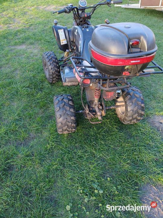 Quad Bashan 150 kujawsko-pomorskie Radziejów