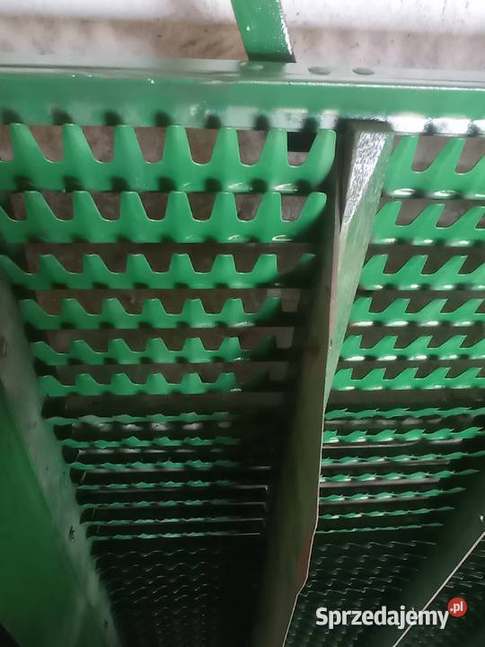 Sito górne lubelskie Wola Siennicka