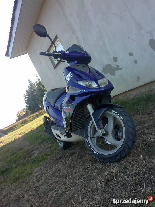 Derbi Gp1 Predator 50 Remoncie automatyczna Krasnystaw sprzedam