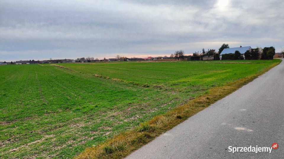 Działka budowlana Krosno gm Gorzkowice pow 1526m2