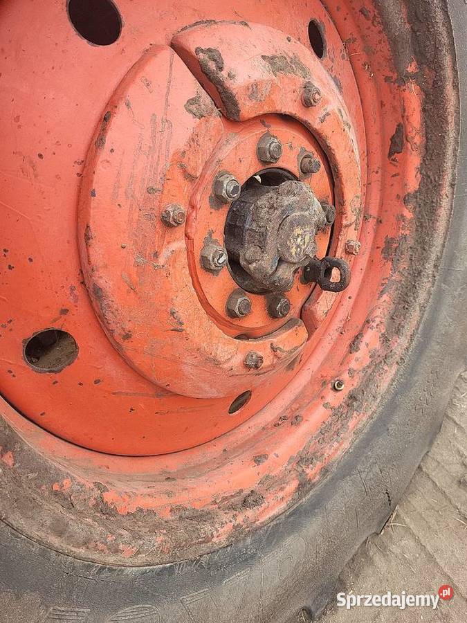 Mtz 82 z turem Rypin