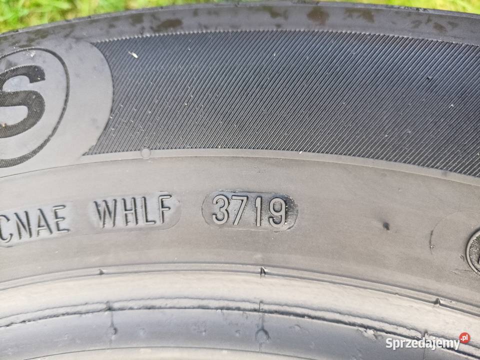 19565 R15 PointS WinterStar 2019r 54mm Para 180 Binkowo