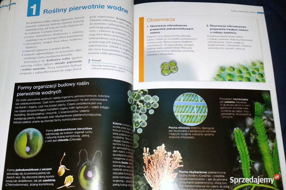 Biologia na czasie 1 Podręcznik Zakres Chełm