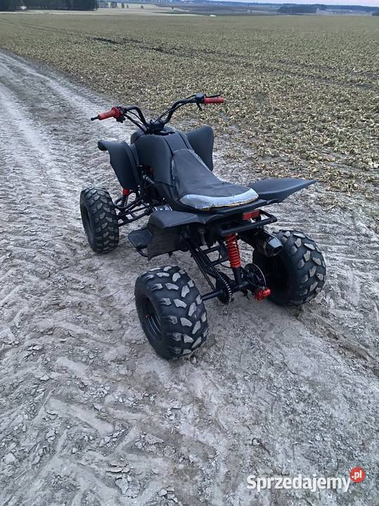 Sprzedam quada bashan 200