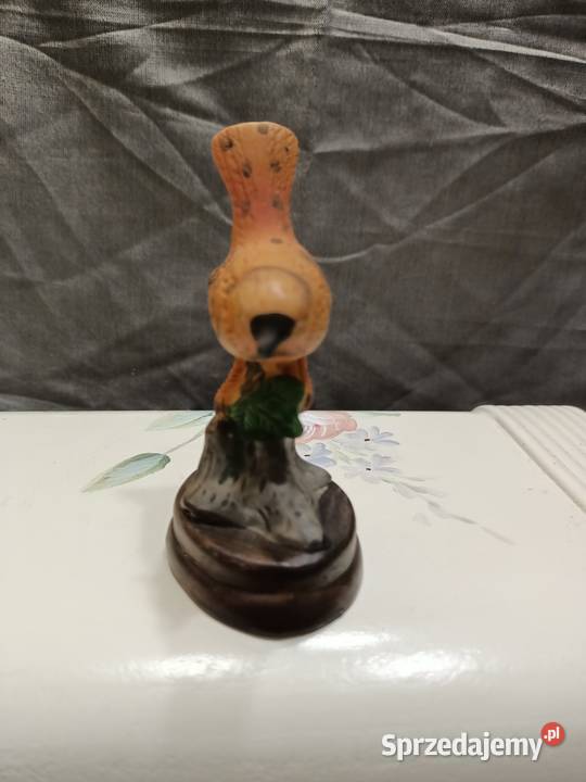 Ptak ptaszek Wren brązowy Zamość