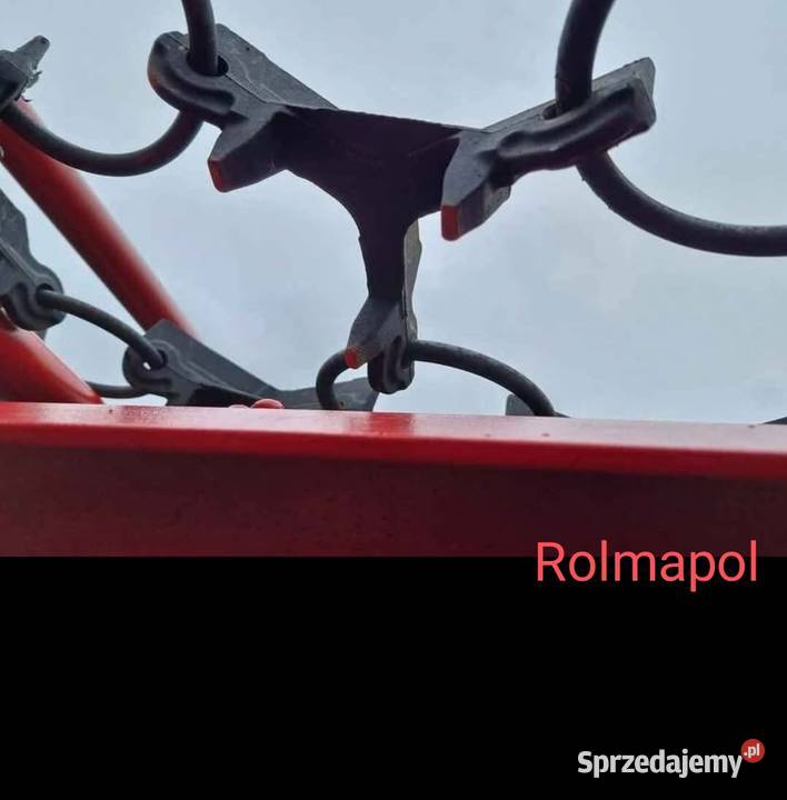 WŁÓKA ŁĄKOWA Łomża