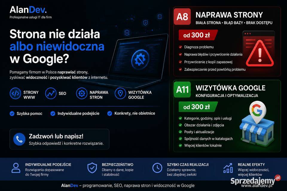 Naprawa stron WWW • SEO • Wizytówka Google dla firm