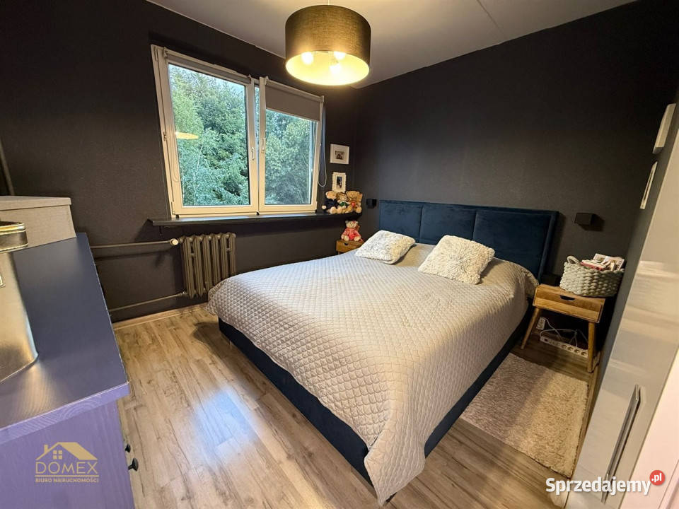 sprzedaży mieszkania 5973m2 3 pokojowe Sprzedaż śląskie Pawłowice
