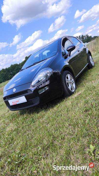 Fiat Punto EVO elektryczne lusterka Punto Evo Oleśnica