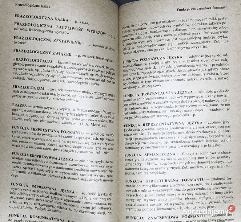 Szkolny słownik terminów nauki o języku Jan Chełm