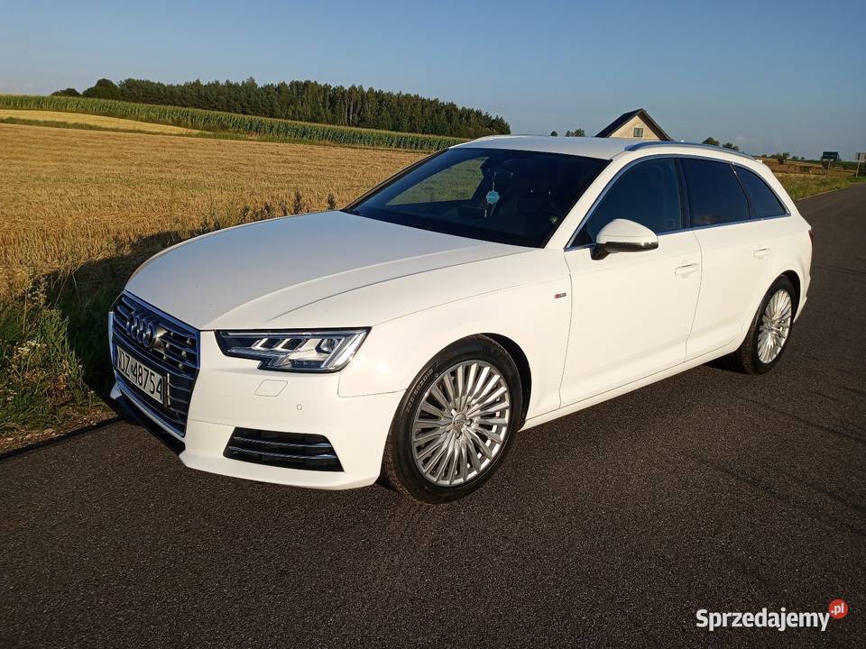 Audi A4 B9 Virtual Matrix ambient 35 TDI warmińsko-mazurskie Dębień