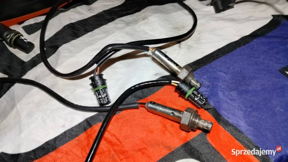 Bmw e39 e36 e38 m52 sondasondy simens sprawne Aleksandrów Łódzki