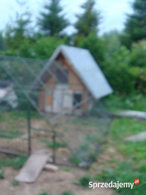 kurnik drewniany z klatką metalową podkarpackie sprzedam
