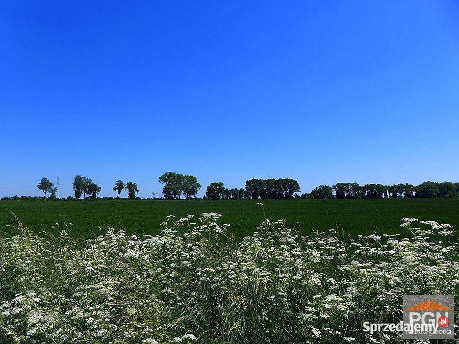 Ogłoszenie działka Gryfice 1430m2 40m zachodniopomorskie