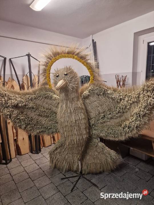 Korona  dożynkowa   Gołębica