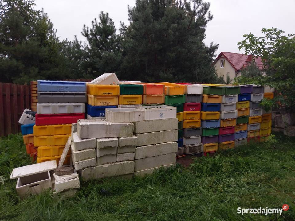 Skrzynki baseny na ryby lód